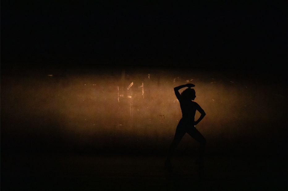 « Danses en territoires » à Fleurance !